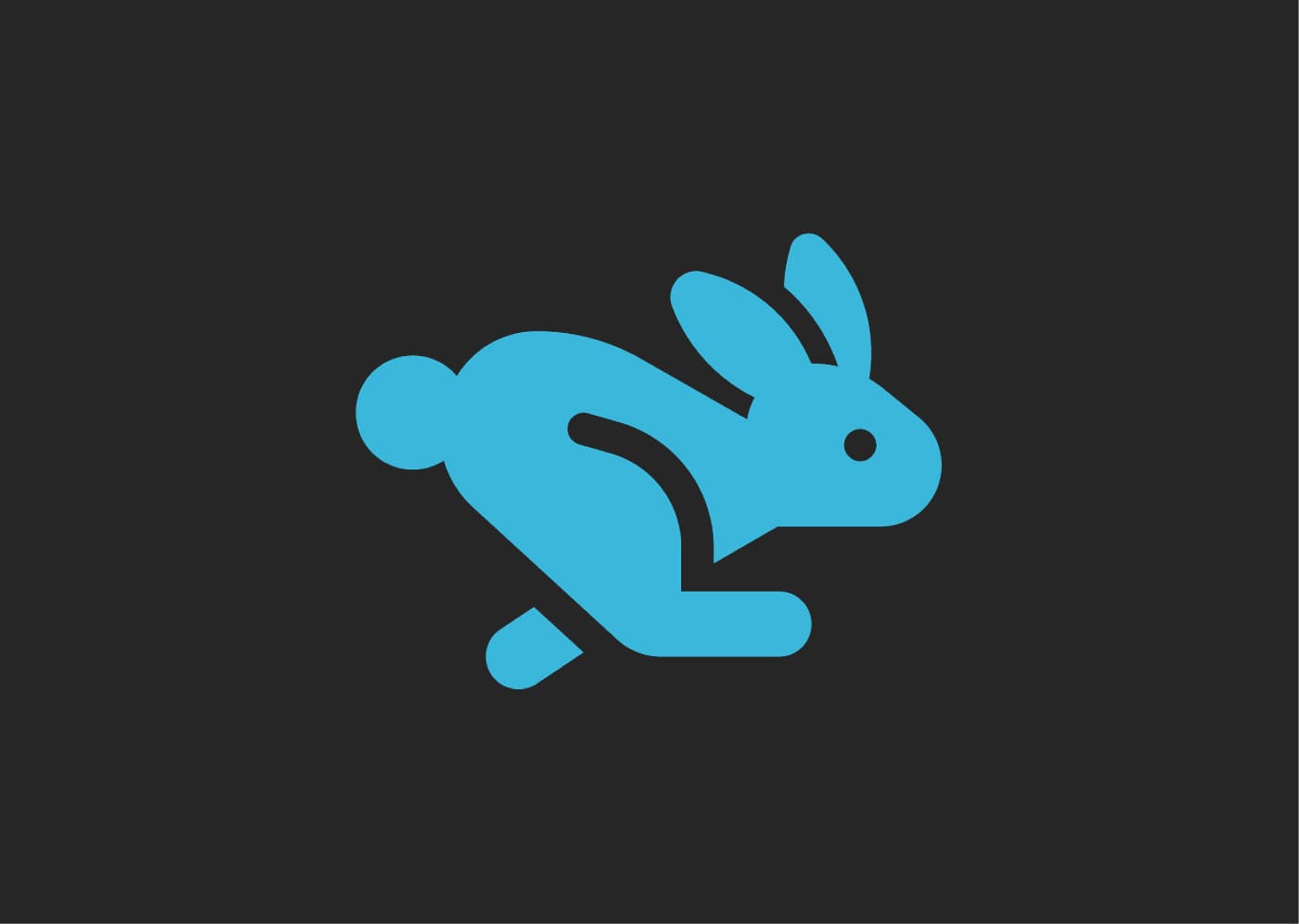 Salt Rabbit case study thumbnail